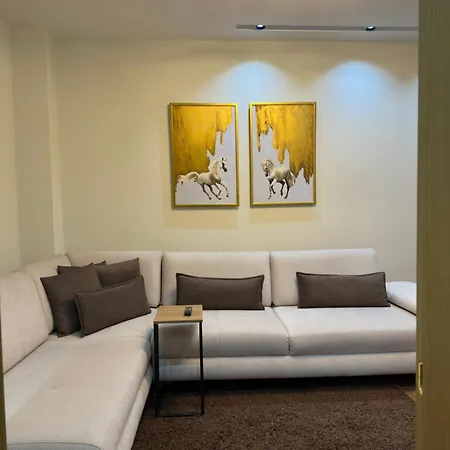Dry Apartment Tirana